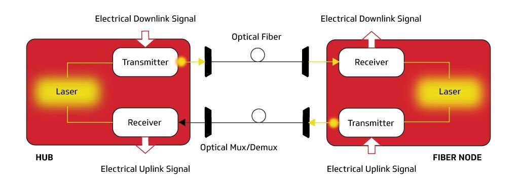 Full Duplex Coherent Optics Dual Fiber Approach