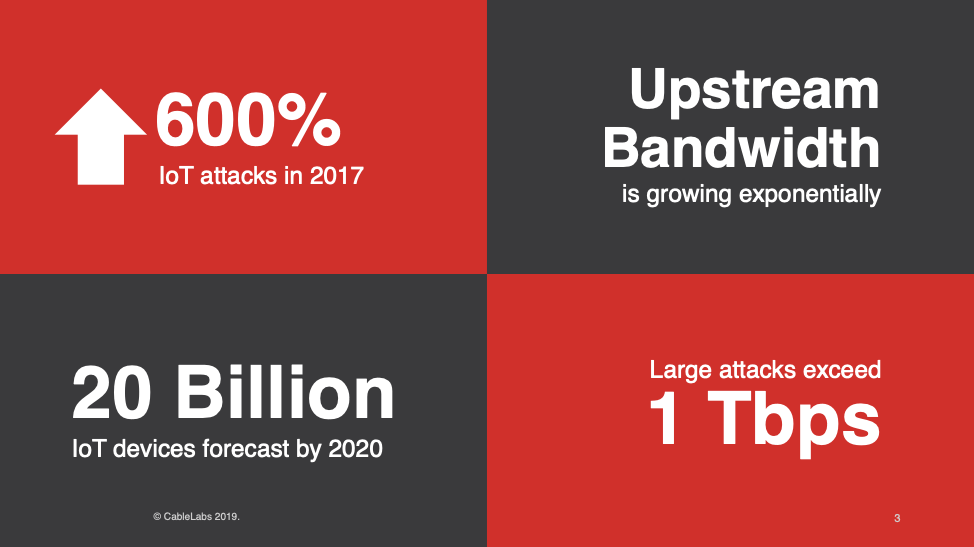 Vaccinate Your Network to Prevent the Spread of DDoS Attacks